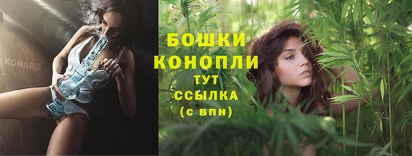 индика Верея