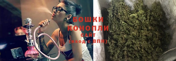 индика Верея