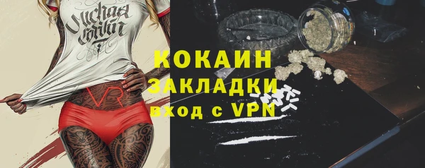 индика Верея