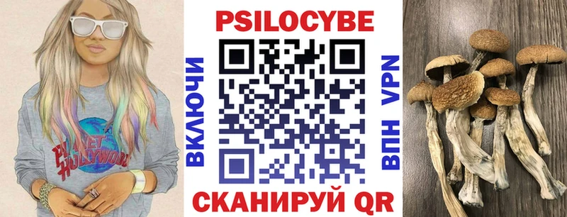 Псилоцибиновые грибы мицелий  Верхнеуральск 